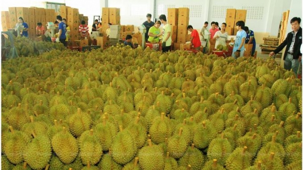 Thái Lan, Trung Quốc kí Nghị định thư buôn bán trái cây