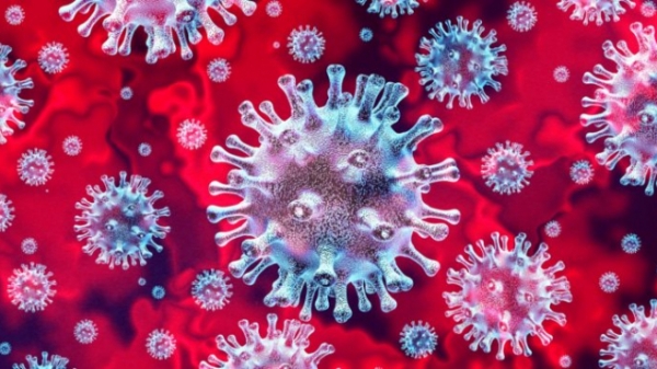 Tìm ra kháng thể 'vô hiệu hóa hoàn toàn' virus SARS-CoV-2