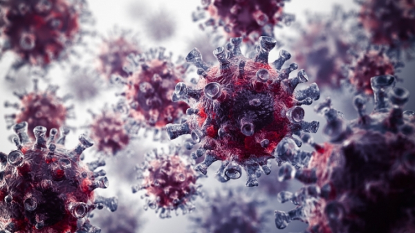Biến thể SARS-CoV-2 'lây lan gấp 10 lần' khiến dịch bệnh tồi tệ hơn tại Mỹ