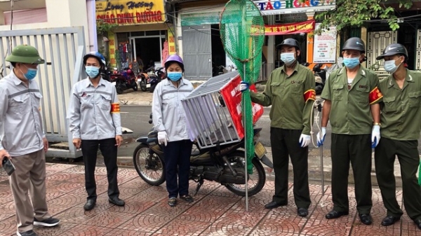Hà Nội: Quận Ba Đình lập 14 đội bắt chó thả rông