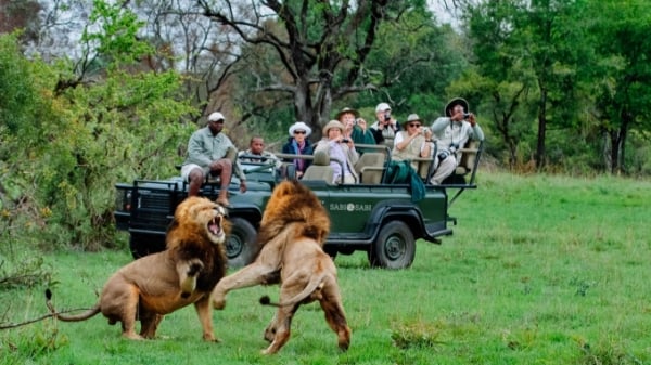 Công viên quốc gia Kruger: Khu bảo tồn lớn nhất Nam Phi