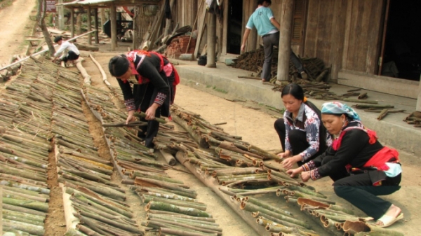 [Bài 3] Hộ nông dân Việt Nam và kinh tế hợp tác trong nông nghiệp