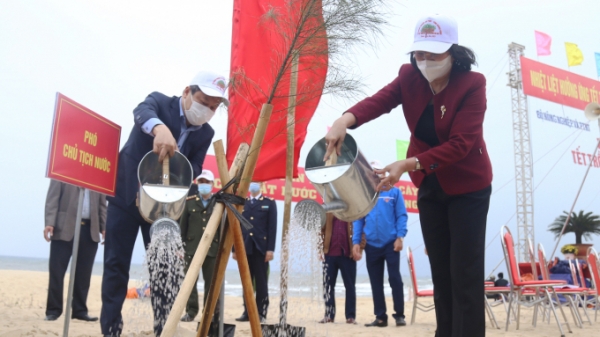 Phó Chủ tịch nước phát động 'Tết trồng cây' tại Quảng Bình