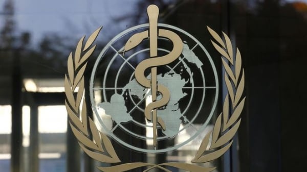 WHO: Nguy cơ lây cúm gia cầm H5N8 từ người sang người được coi là thấp