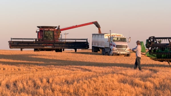 Giá nông sản Canada tăng 10-75% so với năm 2020