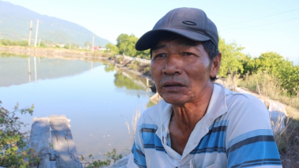 Người nuôi tôm quảng canh Khánh Hòa thiệt hại nặng