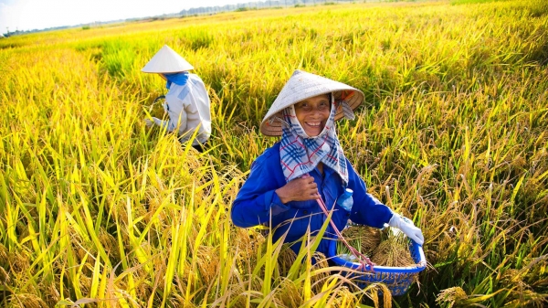 Bộ trưởng Lê Minh Hoan: Nông nghiệp cần tầm nhìn dài hơi
