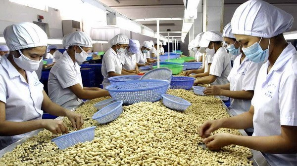 Xuất khẩu hạt điều, chè, hạt tiêu sang Peru hưởng thuế 0%