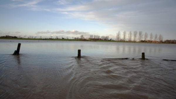 Nông nghiệp châu Âu ảnh hưởng nặng vì lũ lụt