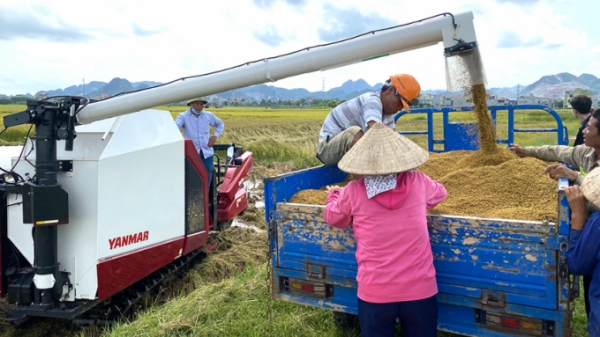 YH850 - máy gặt lúa công nghệ cao phù hợp cho mọi cánh đồng Việt Nam