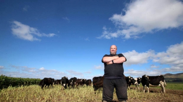 Úc 'săn trộm' lao động nông nghiệp của New Zealand