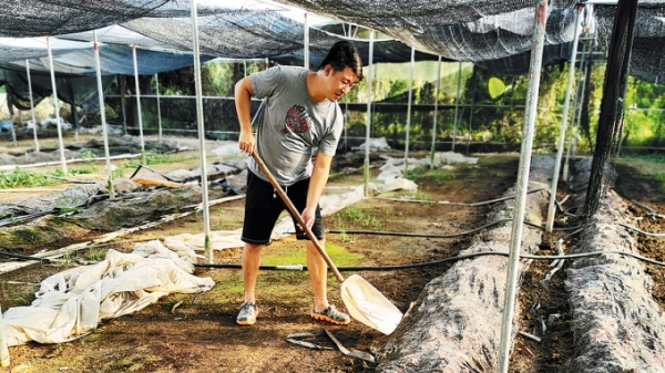 Nông dân Hồng Kông thu lãi 'khủng' từ nuôi trùn quế ở Trung Quốc