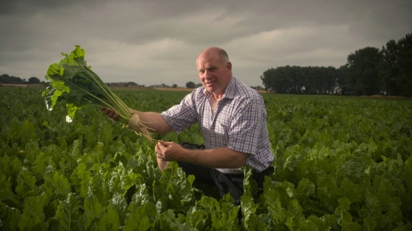 Vương quốc Anh: Người trồng củ cải đường lo lắng tương lai hậu Brexit
