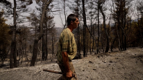 Hy Lạp: Cháy rừng 'thiêu rụi' cuộc sống của những người thu gom nhựa thông