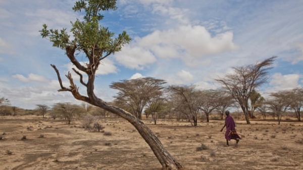 Hạn hán khiến 2,1 triệu người Kenya có nguy cơ chết đói