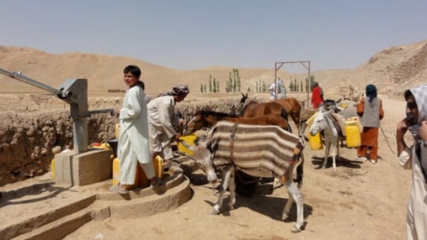 Kẻ thù mới đe dọa sinh kế hàng triệu nông dân Afghanistan