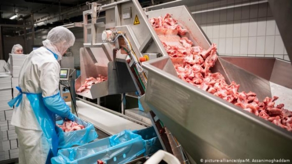 EU 'bó tay' với vấn đề bóc lột lao động trong ngành thịt