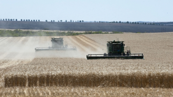 Lúa mì Úc chiếm lĩnh thị trường châu Á trong niên vụ 2021/22