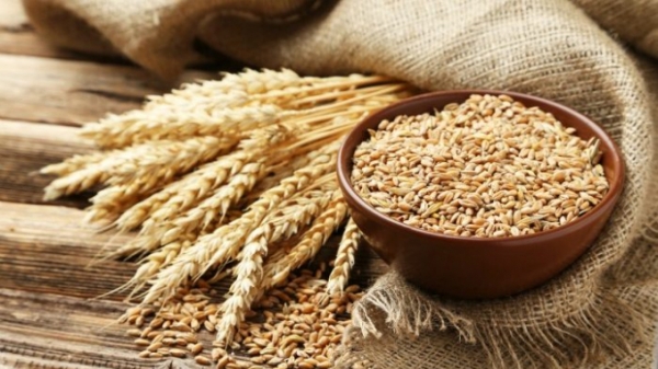 Iran cần mua 8 triệu tấn lúa mì sau đợt hạn hán tồi tệ