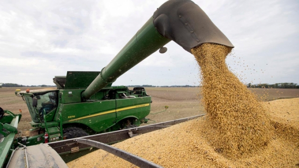 Hoa Kỳ: Sản lượng thu hoạch ngô, đậu tương, lúa mì tốt hơn dự tính