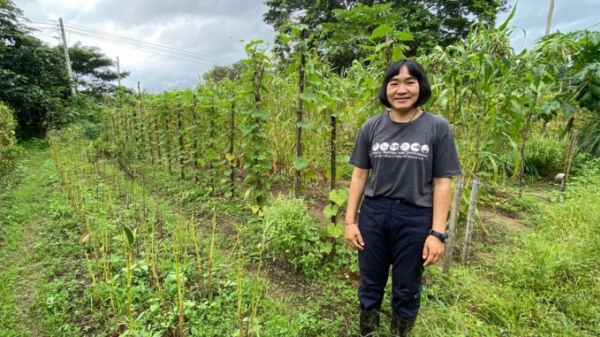 Mê trồng rừng, nông dân trẻ Thái Lan lũ lượt bỏ phố về quê