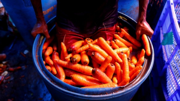 Ấn Độ điều tra chống độc quyền giá hạt giống rau củ