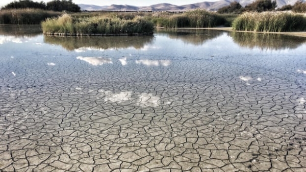 Tây Ban Nha đang phải trả giá cho việc sử dụng nguồn nước vô độ