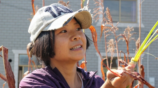 Hàng chục triệu thanh niên Trung Quốc lựa chọn làm 'nông dân mới'