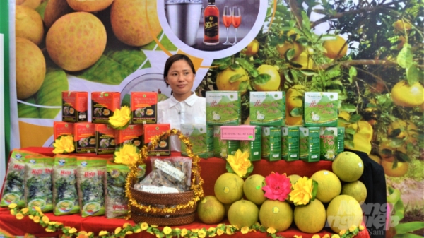 Tuyên Quang dừng tổ chức Hội chợ thương mại – du lịch vì Covid-19