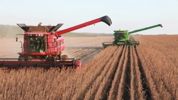 Trung Quốc: Tỉnh Hắc Long Giang tăng sản lượng đậu tương thêm 1,3 triệu tấn/năm