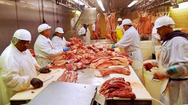 Ấn Độ cho phép nhập thịt lợn từ Mỹ để đổi lấy xuất khẩu xoài, lựu