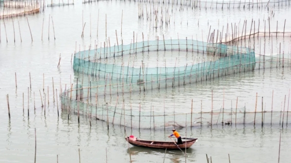 Trung Quốc giữ ngôi đầu về nuôi trồng thủy sản nhờ tăng cường hệ sinh thái