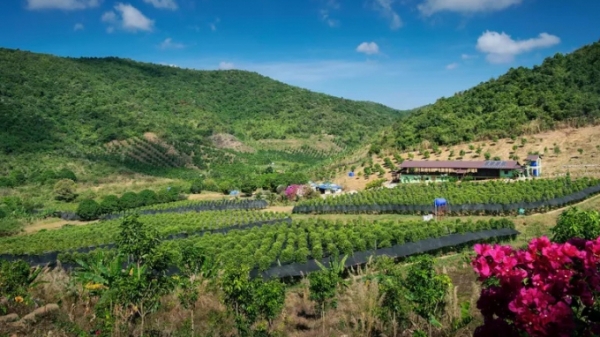 Campuchia thực hiện dự án phát triển nông nghiệp bền vững để chống nạn phá rừng