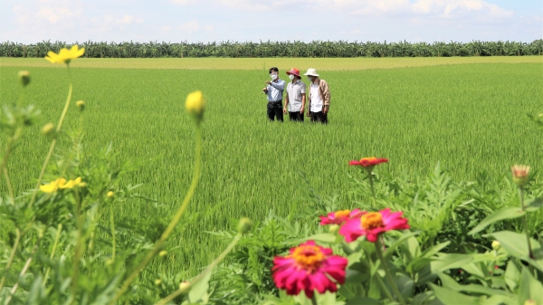 Đến năm 2050, đưa nền nông nghiệp Việt Nam lên top đầu thế giới