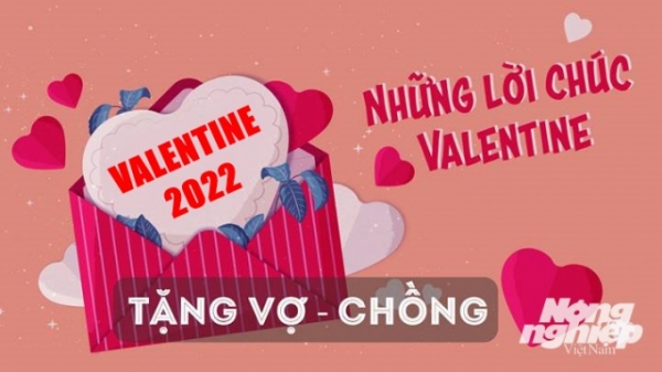 Lời chúc Valentine 2023 hay và ý nghĩa dành tặng vợ, chồng