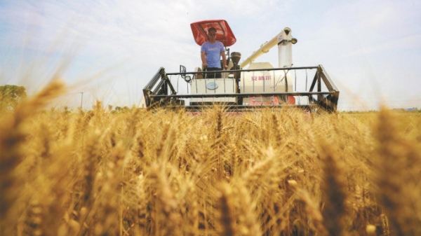 Trung Quốc công bố kế hoạch hiện đại hóa nông nghiệp và nông thôn đến 2025