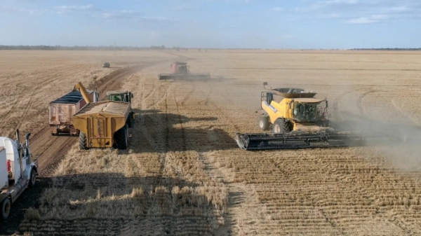 Nông nghiệp Úc 'vạ lây' từ xung đột Nga - Ukraine