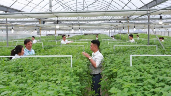 Học viện Nông nghiệp Việt Nam - nơi chắp cánh cho tinh hoa Nông nghiệp Việt