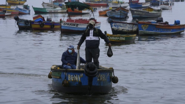 Peru: 'Thảm họa sinh thái tồi tệ nhất' đánh sập nghề cá quy mô nhỏ
