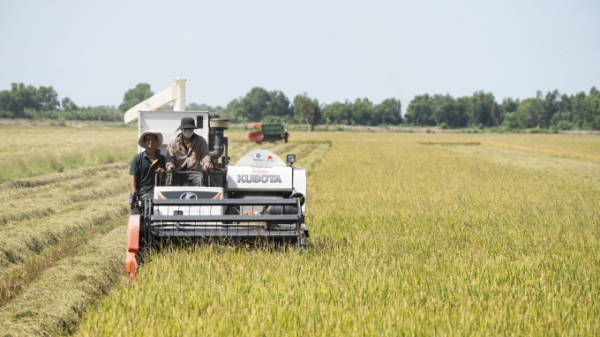 Lộc Trời thử nghiệm máy gặt đập liên hợp cải tiến thu hoạch lúa