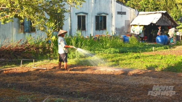 Nông nghiệp dinh dưỡng và ước muốn thoát nghèo của người Khmer ở Trà Vinh