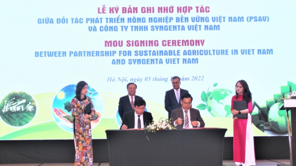 Syngenta và PSAV hợp tác thúc đẩy phát triển nông nghiệp bền vững