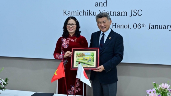 Học viện Nông nghiệp Việt Nam và Tập đoàn Kamichiku hợp tác về chăn nuôi bò thịt