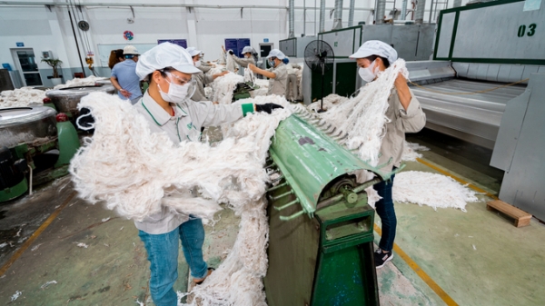 Nhà máy sợi gai An Phước - Viramie xuất khẩu những lô hàng đầu tiên năm 2023