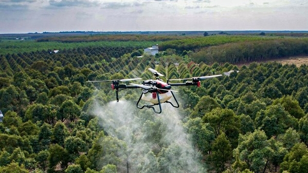 Drone XAG dần được ứng dụng rộng rãi trong canh tác chuối và sầu riêng tại Việt Nam