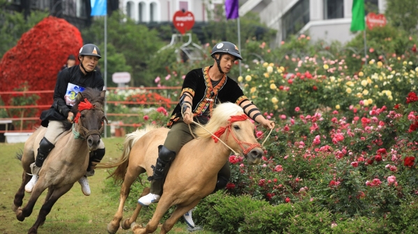 Mùa giải 'Vó ngựa trên mây' lần thứ 6 sẽ diễn ra tại Sun World Fansipan Legend từ 24/6-2/7