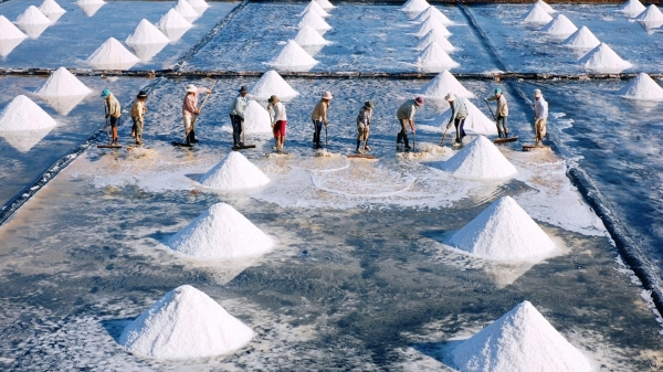 Câu chuyện Bạc Liêu