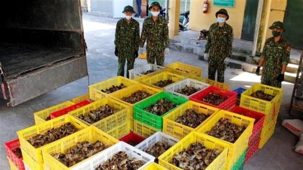 Giải pháp ngăn chặn buôn lậu gia cầm của bộ đội biên phòng Lạng Sơn