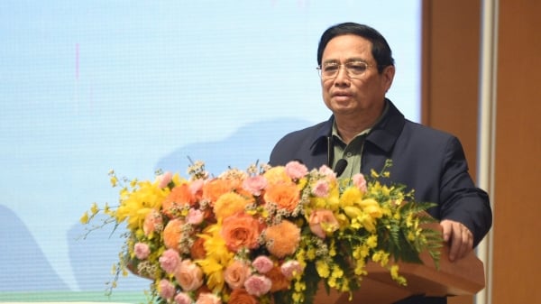 Thủ tướng đề nghị triển khai có hiệu quả Đề án 1 triệu ha lúa