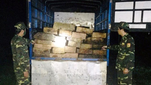 TT-Huế: Phát hiện xe tải vận chuyển  gỗ trái phép trong đêm